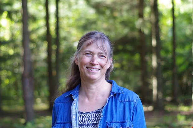 Så här skapar du en hållbar och vacker trädgård Så här skapar du en hållbar och vacker trädgård