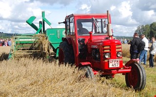Vlmatad skrdedag utlovas 