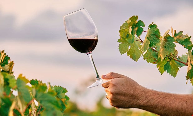 Åldern är mer än en siffra Åldern är mer än en siffra