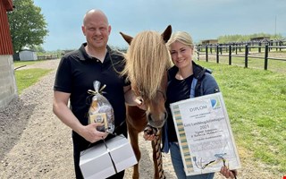 Islandshstprofilen Vignir Jonasson har gtt bort