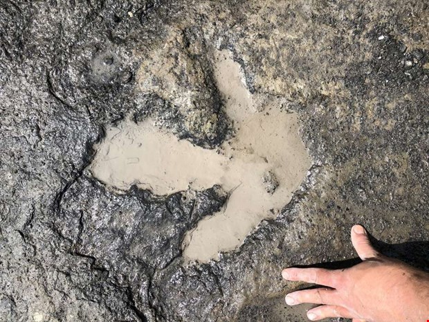 Rovdinosaurier har åter tystnat Rovdinosaurier har åter tystnat