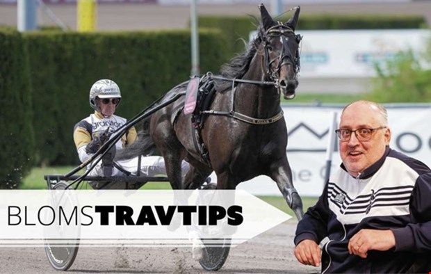 Inför V75: Örjan från början till slut Inför V75: Örjan från början till slut