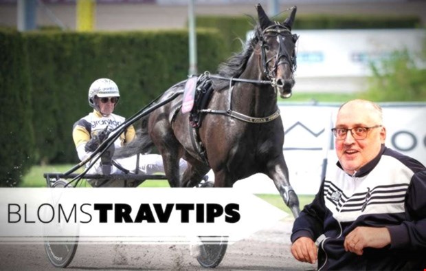 Travexpert Blom: Jackpott med 47 miljoner