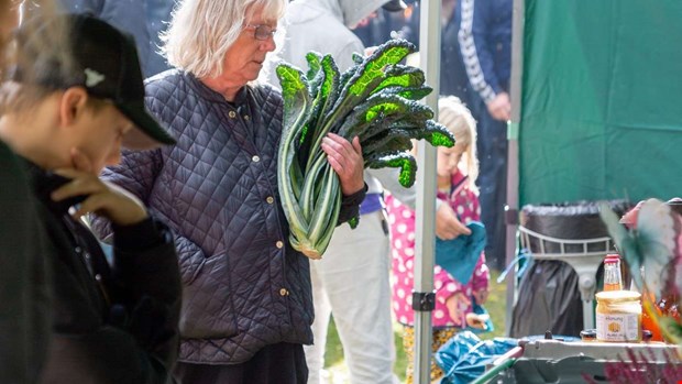 Matmarknad flyttar till Tingvalla