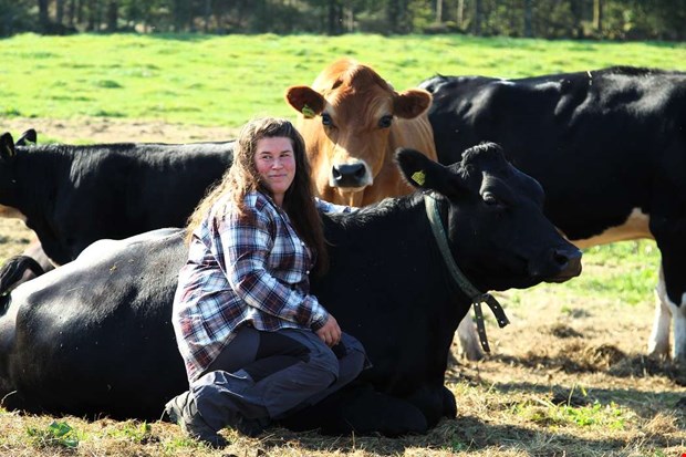 Mjölkbonden: Mjölkbonden: