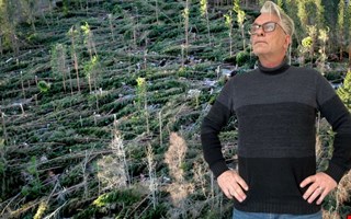 Gudrun  ur ett helt annat perspektiv