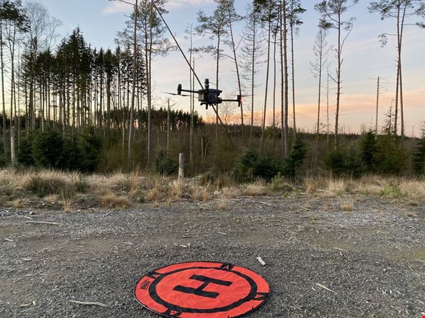 Nytt beslut om älgjakt i Örkelljunga Nytt beslut om älgjakt i Örkelljunga