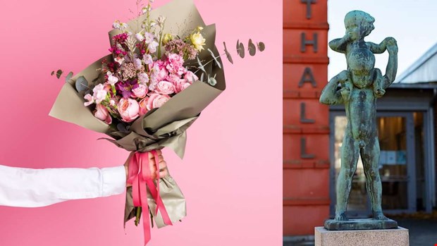 Konsttjuvar misslyckades - Irén hyllas Konsttjuvar misslyckades - Irén hyllas