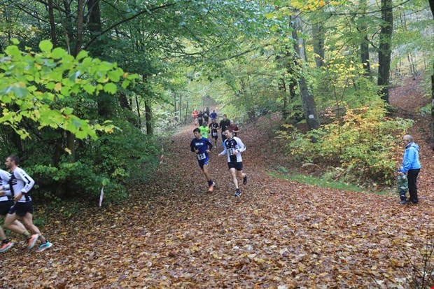 Spring tills du stupar Spring tills du stupar