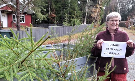 Rent vatten med uttj�nta granar