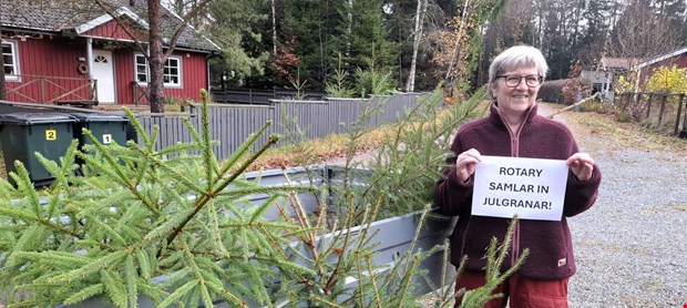 Rent vatten med uttj�nta granar