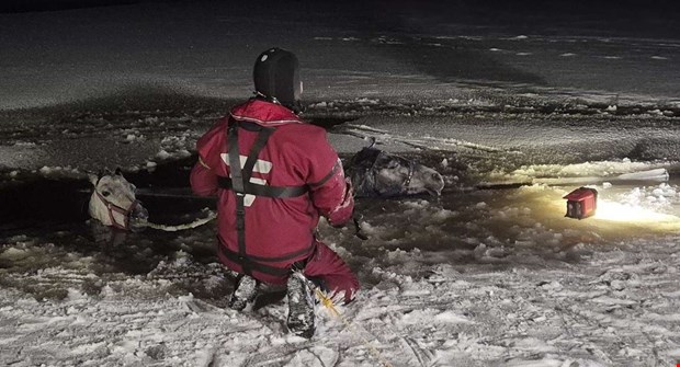 Dramatiskt n�r h�star r�ddades ur isvak